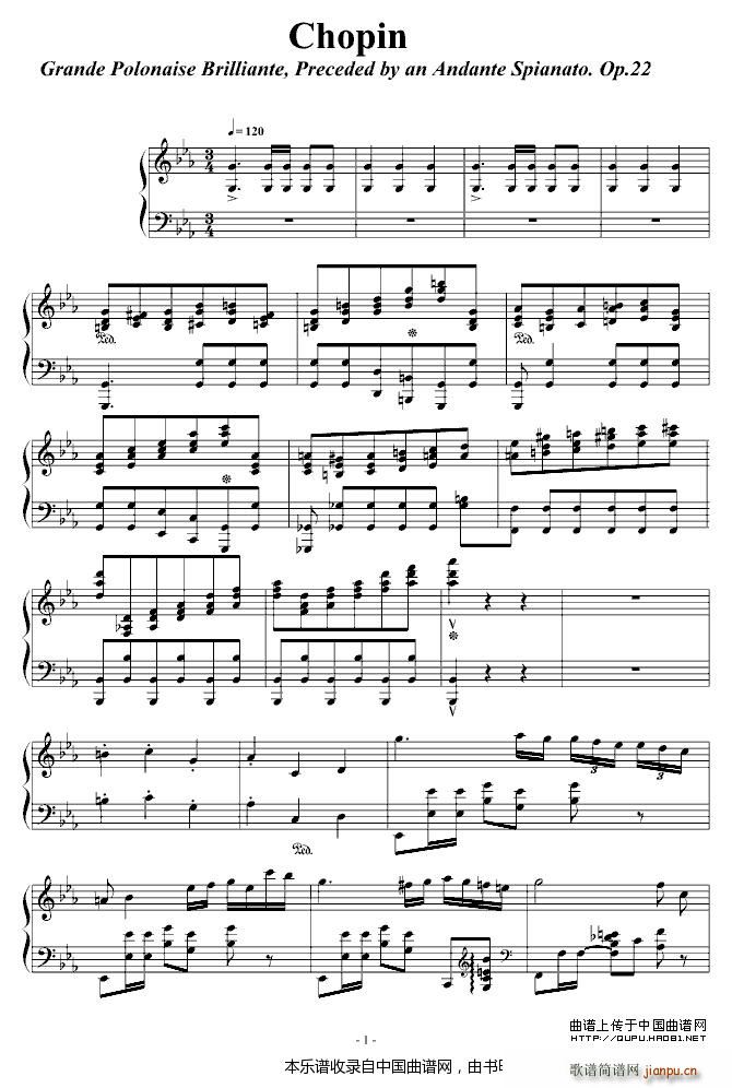 Chopin ���m����(����V)1