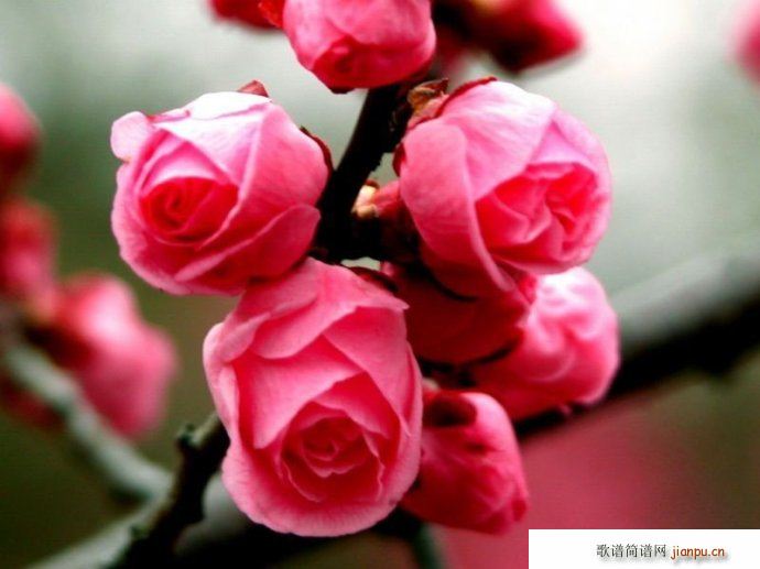 ������(l�� )��(���ָ��V)1