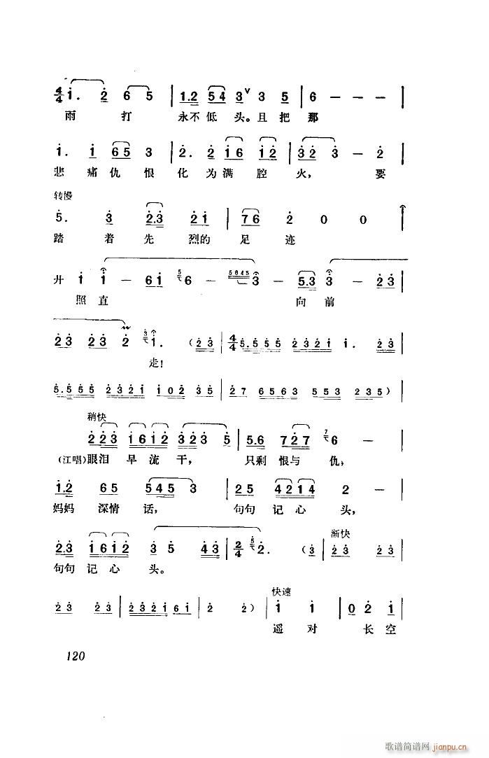 ���� �脡 ȫ�� 00 50(ʮ�ּ�����)46