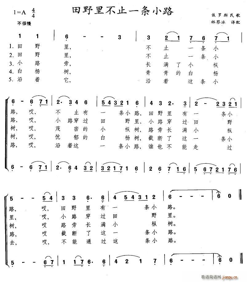 ��Ұ�ﲻֹһ�lС·(���ָ��V)1