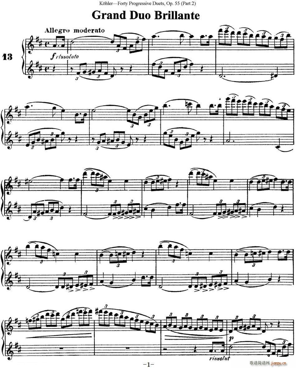 ����40���L(ch��ng)����߾�����OP 55 ������ NO 13(�Ѻ��V)1