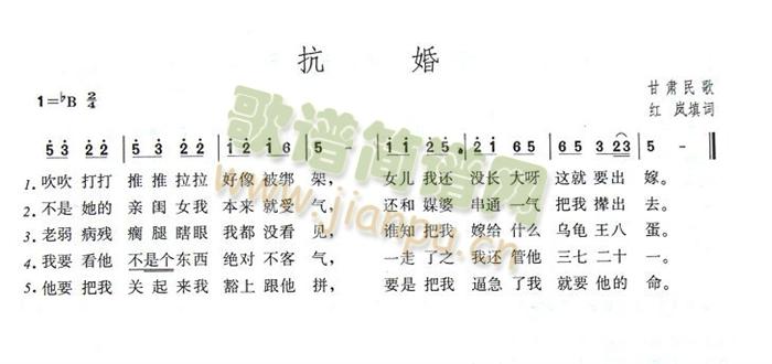 ����(���ָ��V)1