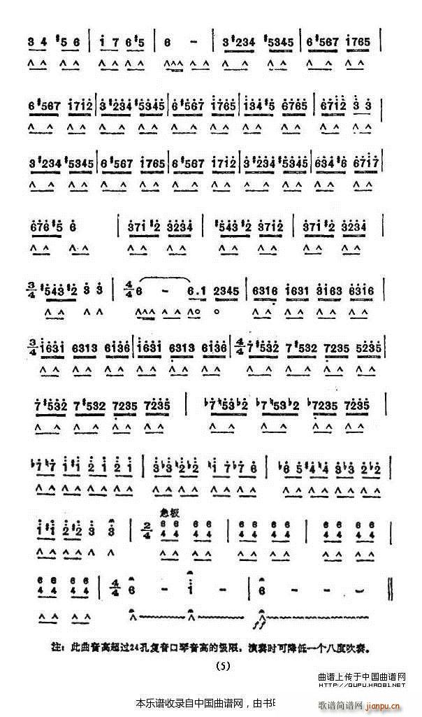 ��������(�����V)5