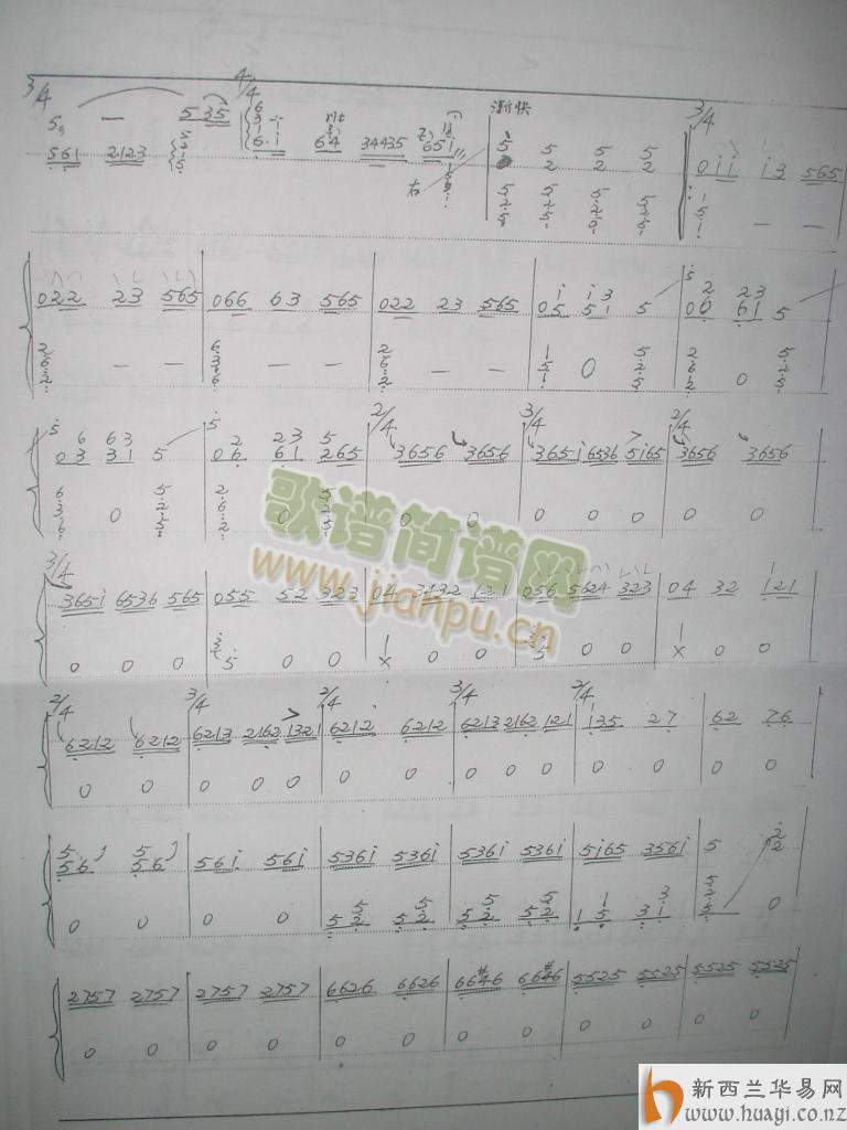 ҹ���(�Ź~�P���V)3