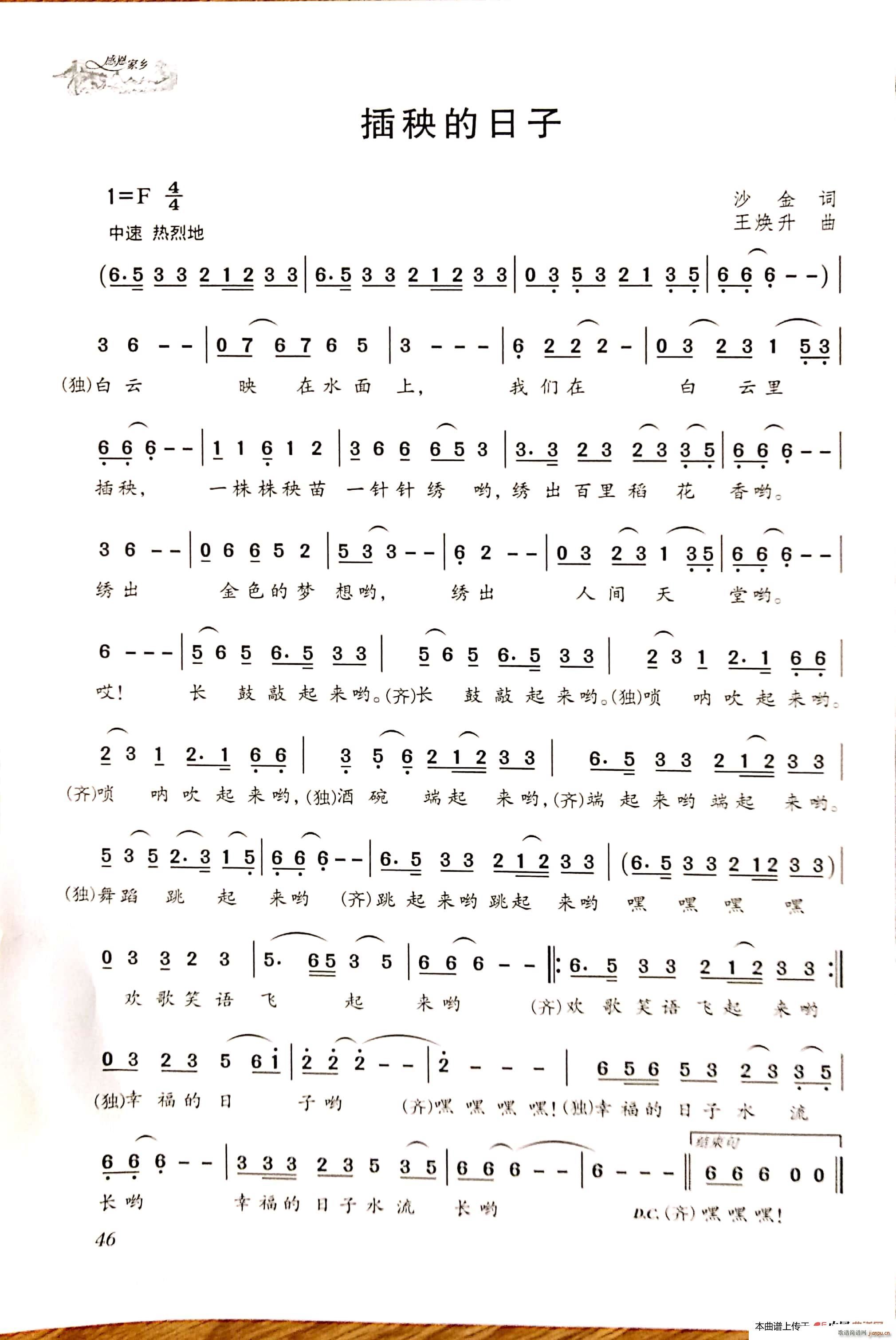 ����������(���ָ��V)1