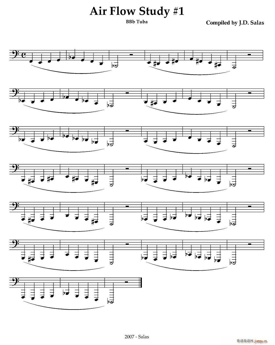 Air Flow Study Bb Tuba ��̖�����̲��x�� �~��(ʮ�ּ�����)1