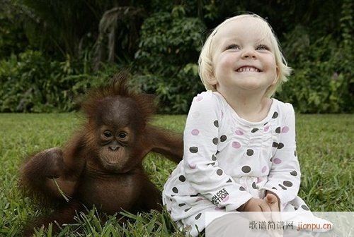 ͨ�׸��� ��s����(���ָ��V)1