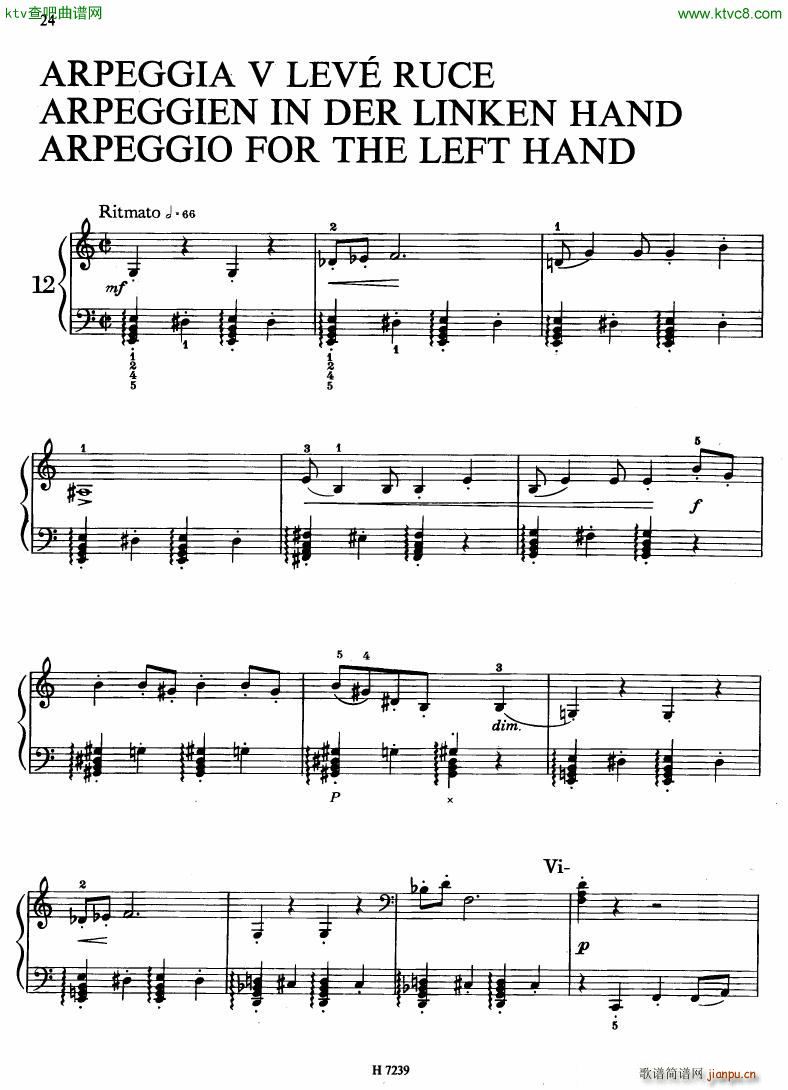 Hurnik piano etudes(����V)21