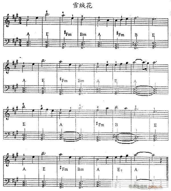 �����-ѩ�q��(�λɹ��V)1