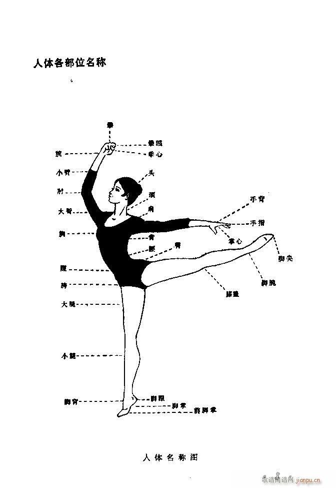 �赸��(d��ng)���x Ŀ� 40(ʮ�ּ�����)6