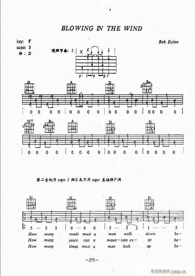 ���{�����̳�241 304(�����V)35