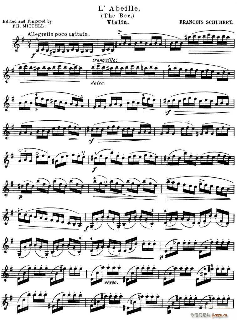 L�� A beille(ʮ�ּ�����)1