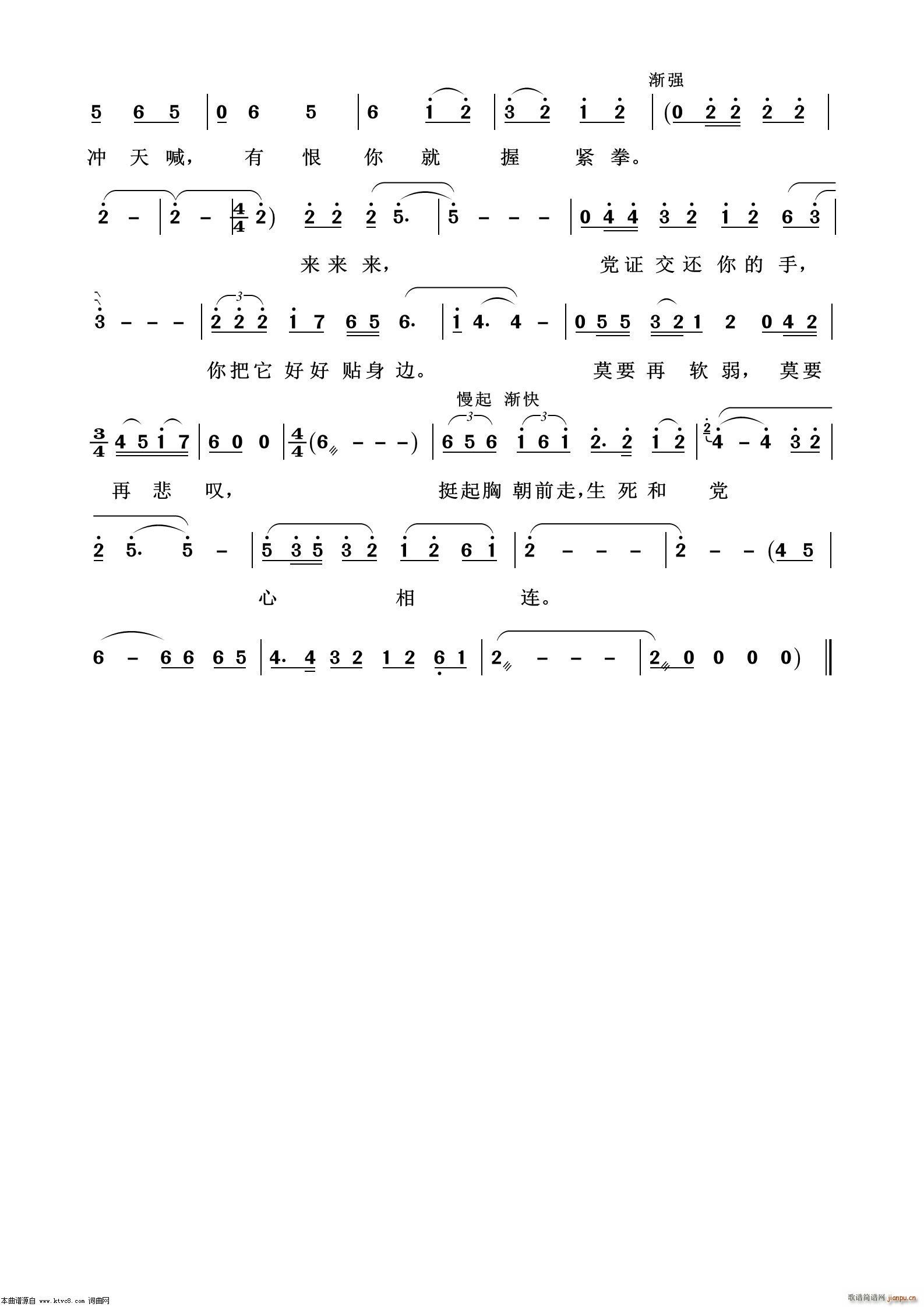 �������h���B�� �脡�x��100��(ʮ�ּ�����)3