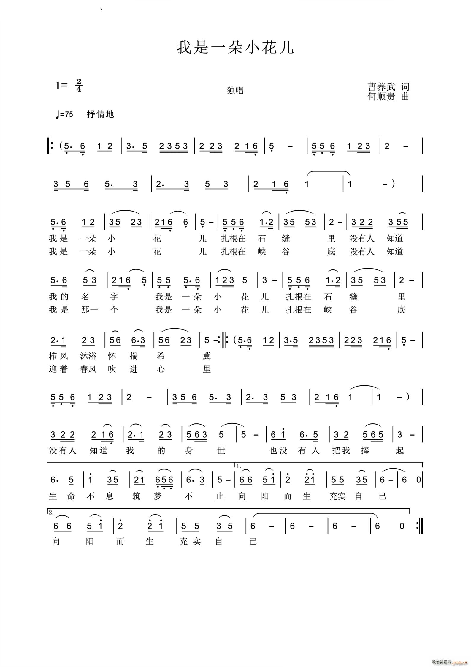 ����һ��С����(���ָ��V)1