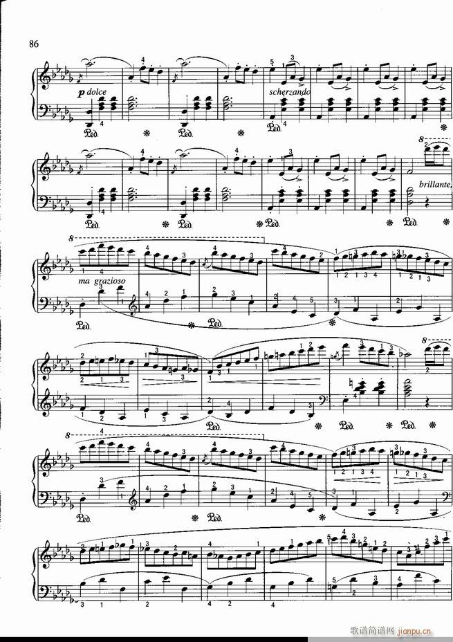 ��� ���ɲ����������������100�� ��(����V)86