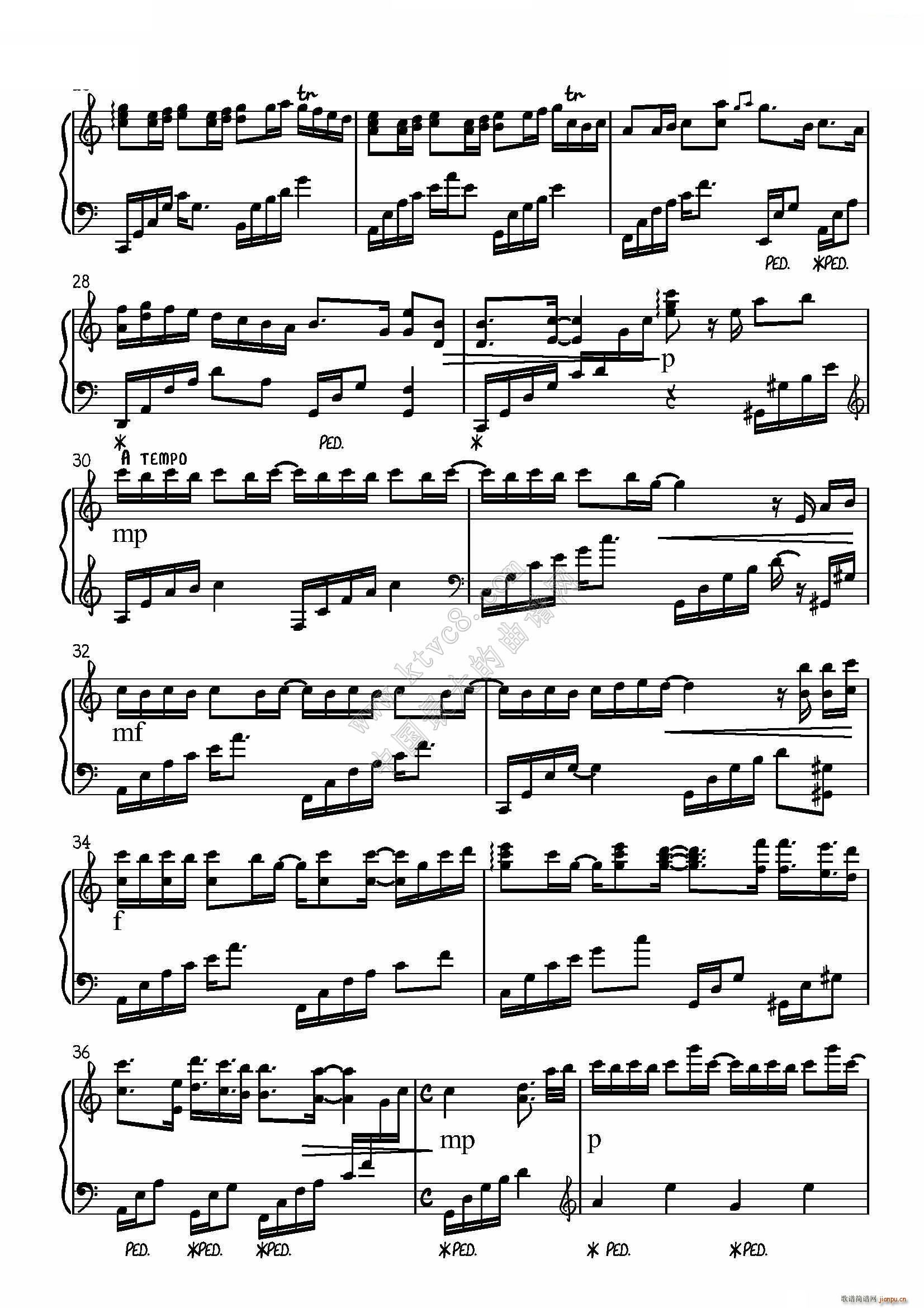 ���� Star at Dawn(����V)3