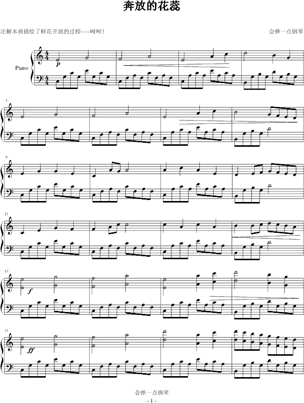 ���ŵĻ���(����V)1