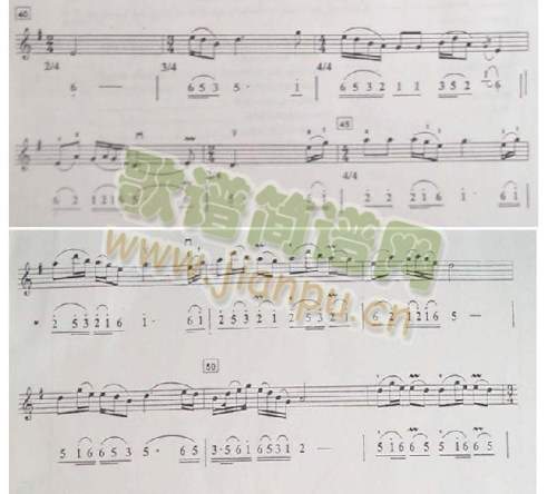 ������������(����)3