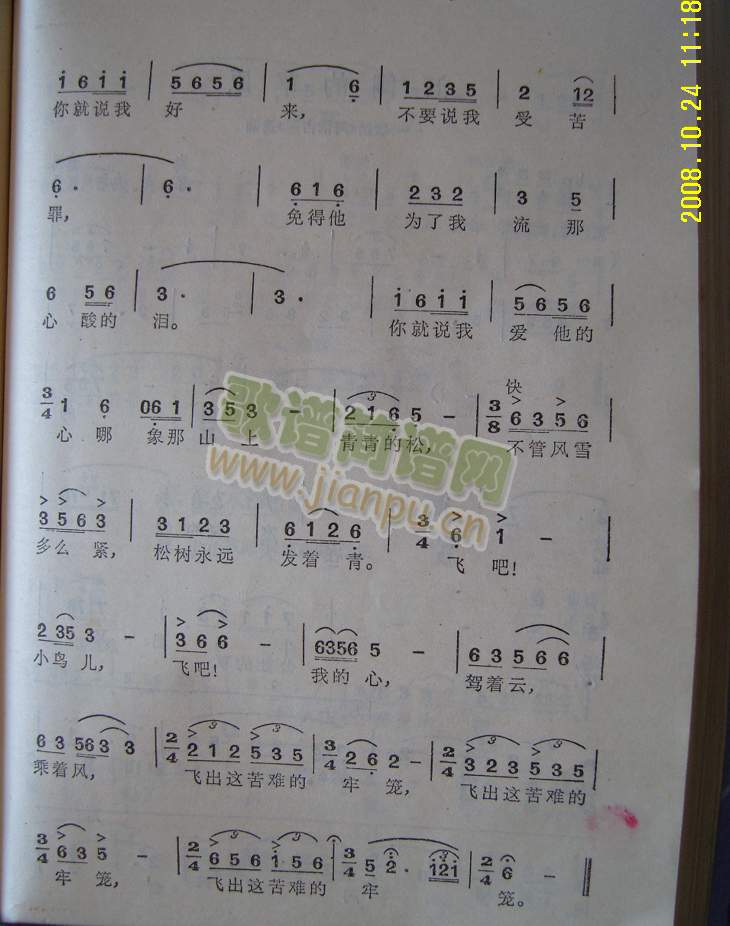 �w���@���y���λ\(���ָ��V)3