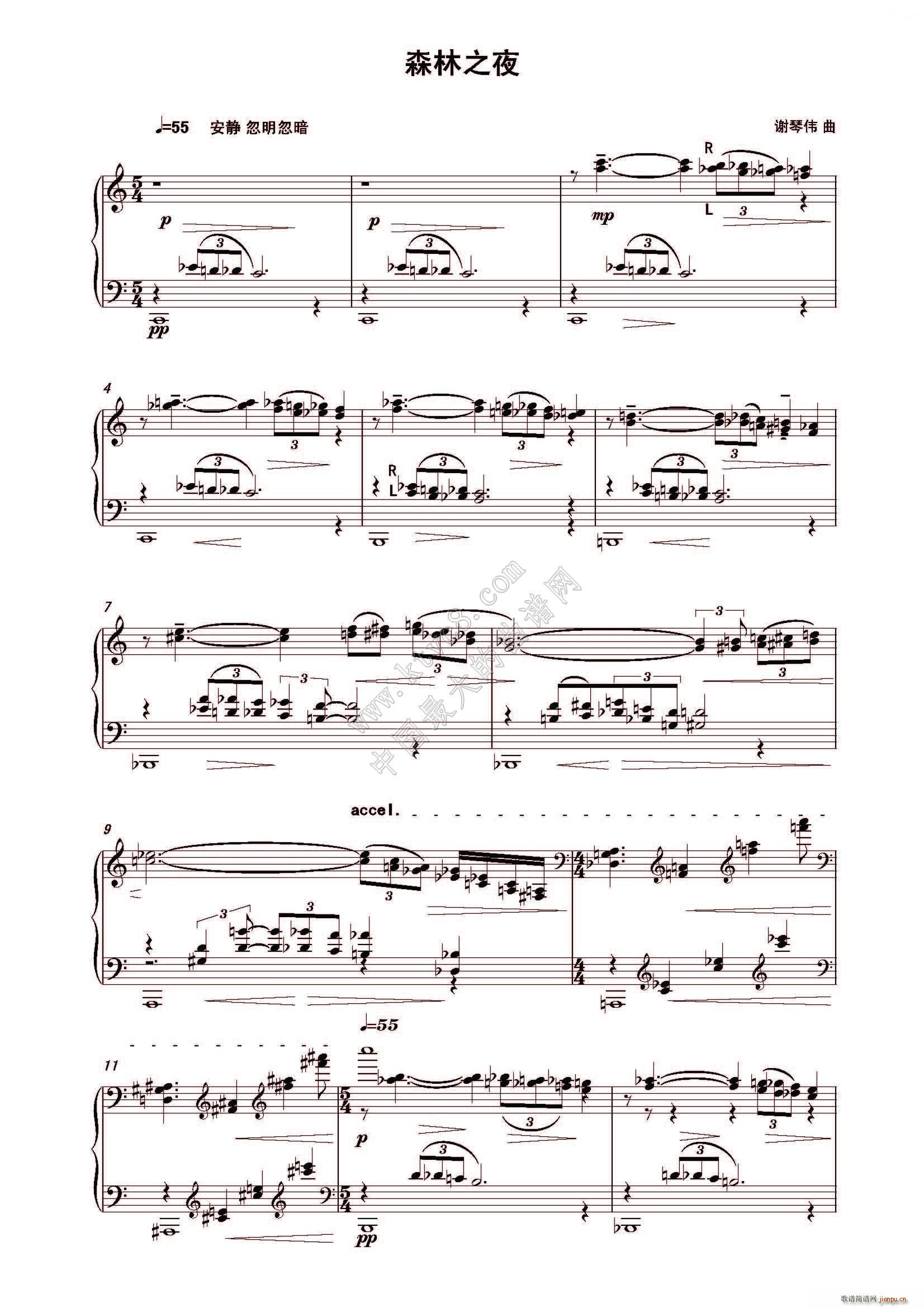 ɭ��֮ҹ(����V)1