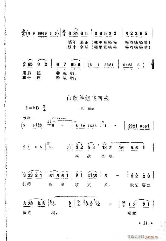 ������(���ָ��V)21