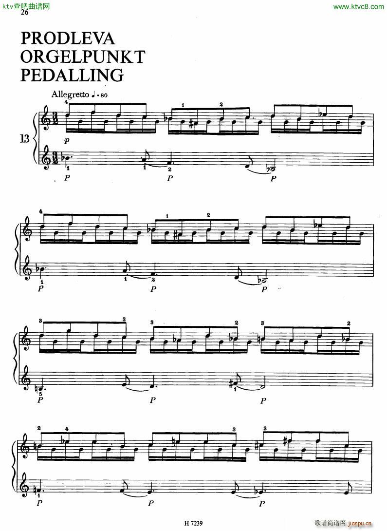 Hurnik piano etudes(����V)23