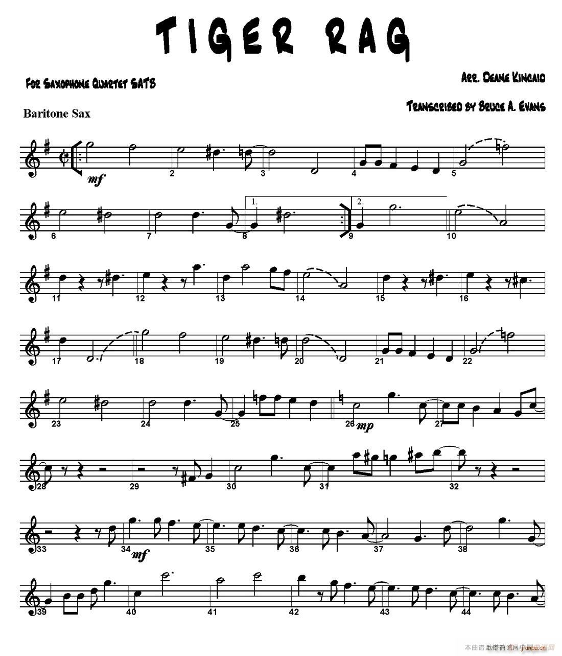 TIGER RAG ������(���V)7