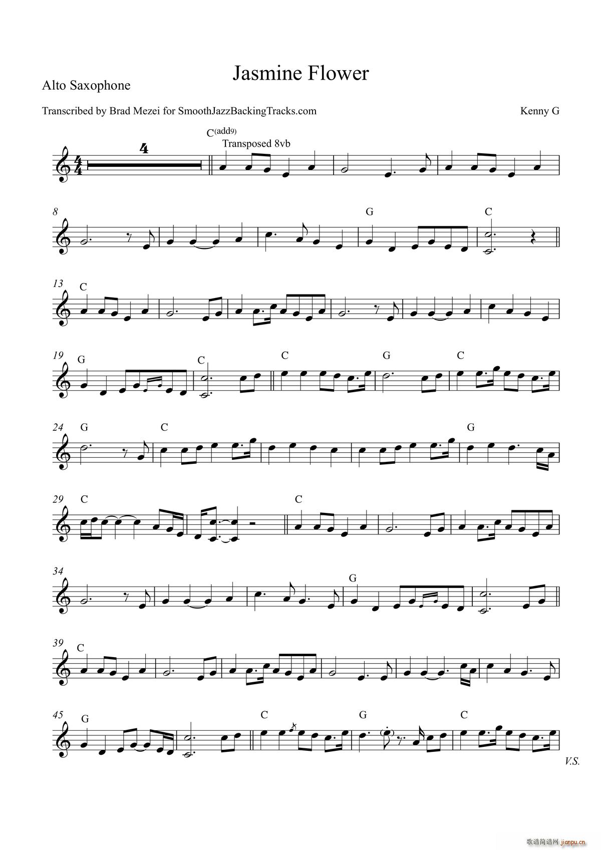 Jasmine Flower �����_��˹(ʮ�ּ�����)1