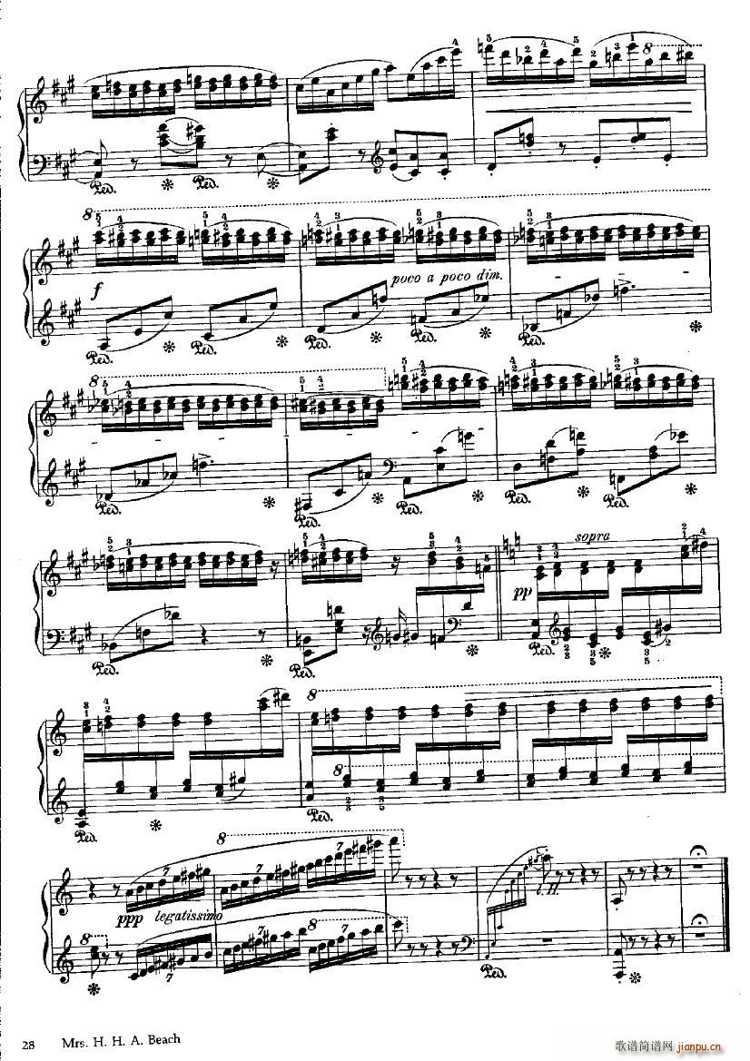 Beach Fire Flies(����V)7