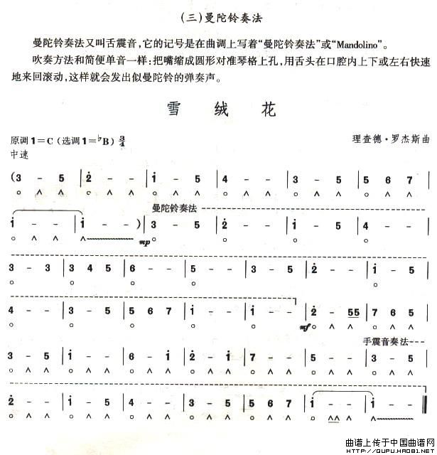 ����������ѩ�q��(����)1