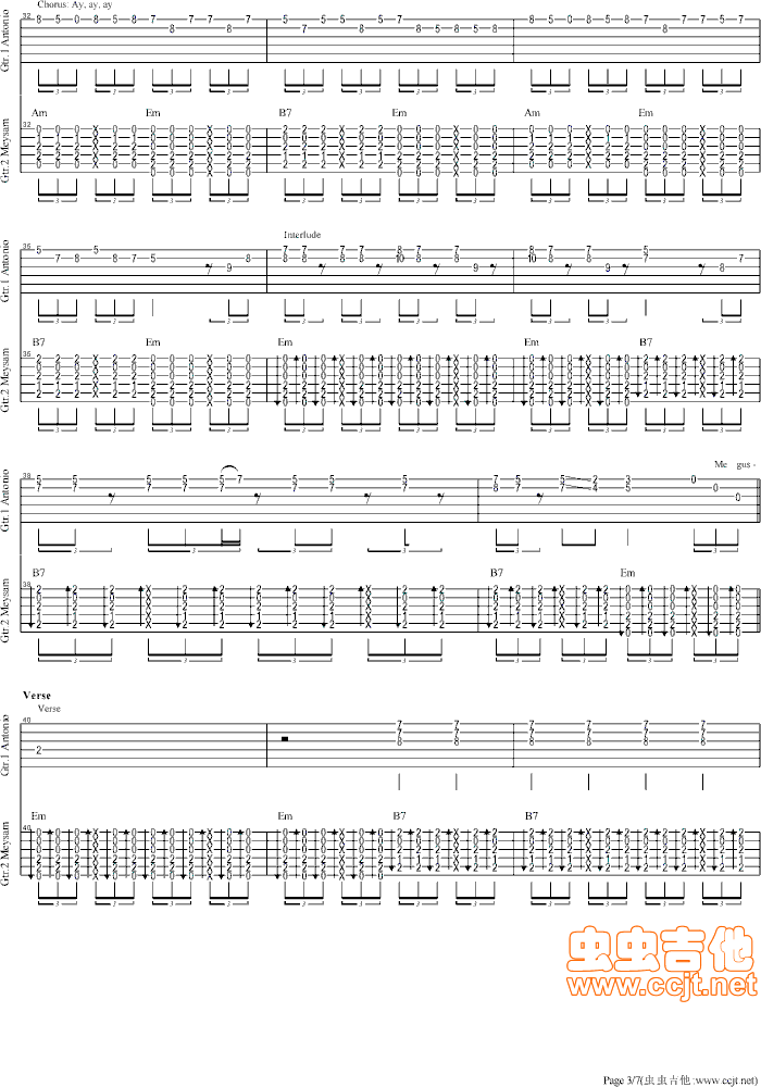 Cancin Del Mariachi(�����V)3