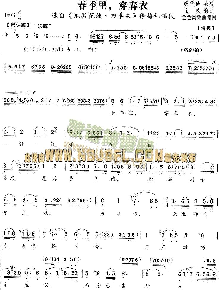 �����ﴩ����(Խ�����V)1