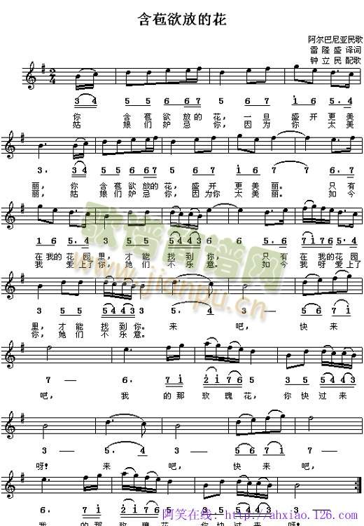 �������ŵĻ�(���ָ��V)1