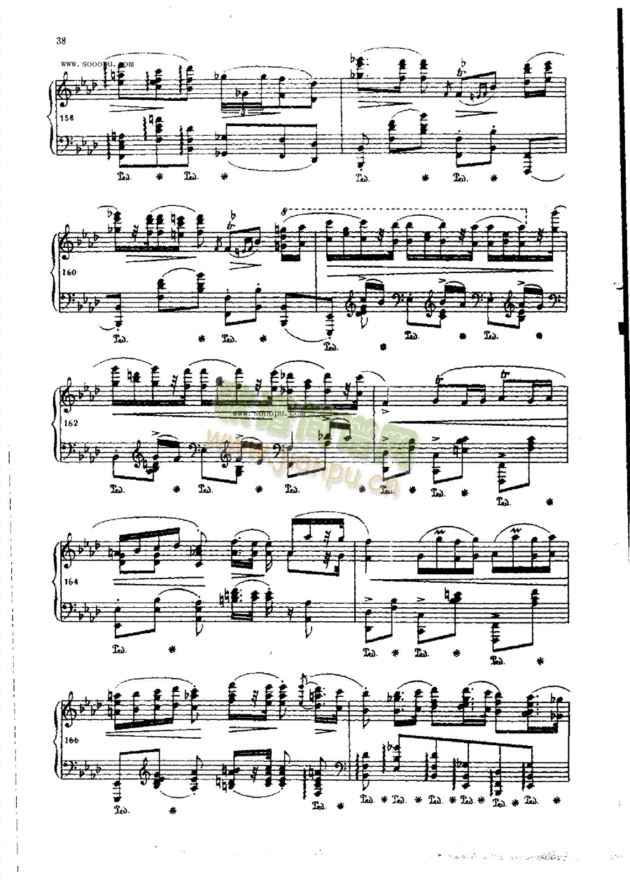 ������ƝOP.53�I�P(p��n)�(l��i)���(������(l�� )�V)13