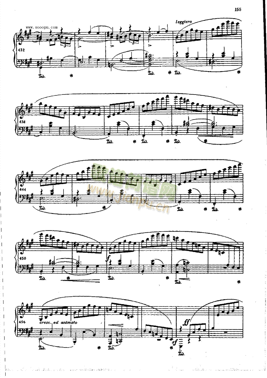 �C�o��OP.31�I�P(p��n)�(l��i)���(������(l�� )�V)13