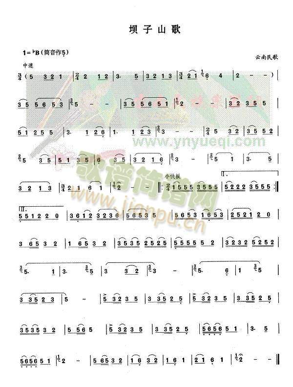 ����ɽ��(���J�z�V)1