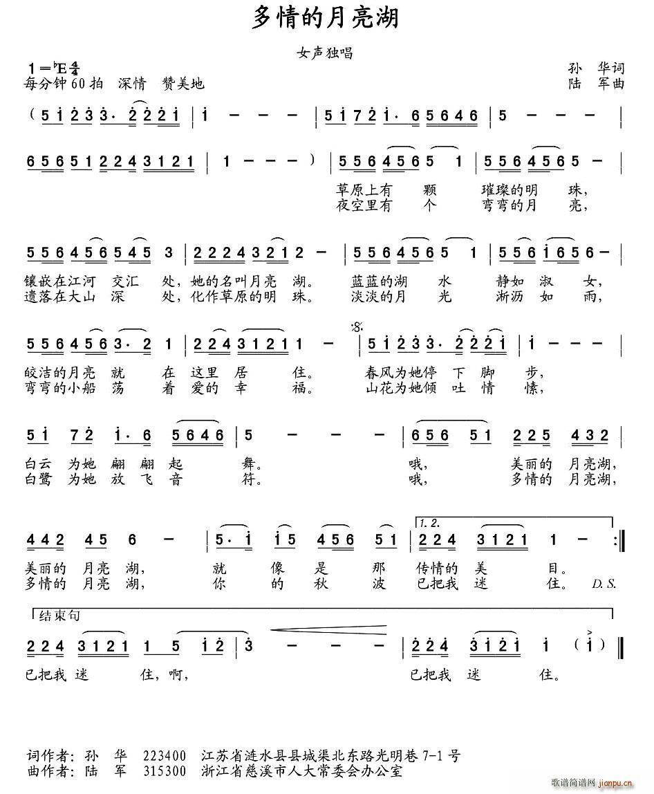 �����������(���ָ��V)1