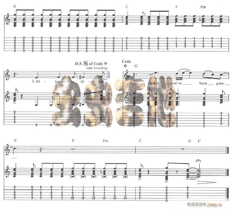 alberta(���ָ��V)5