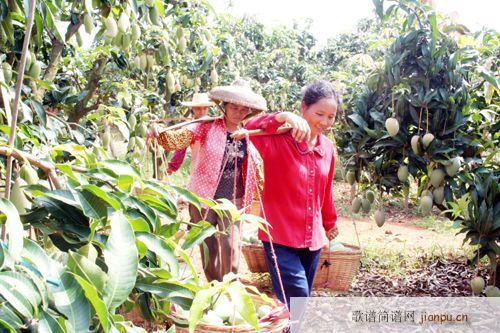 ((â������))(���ָ��V)1