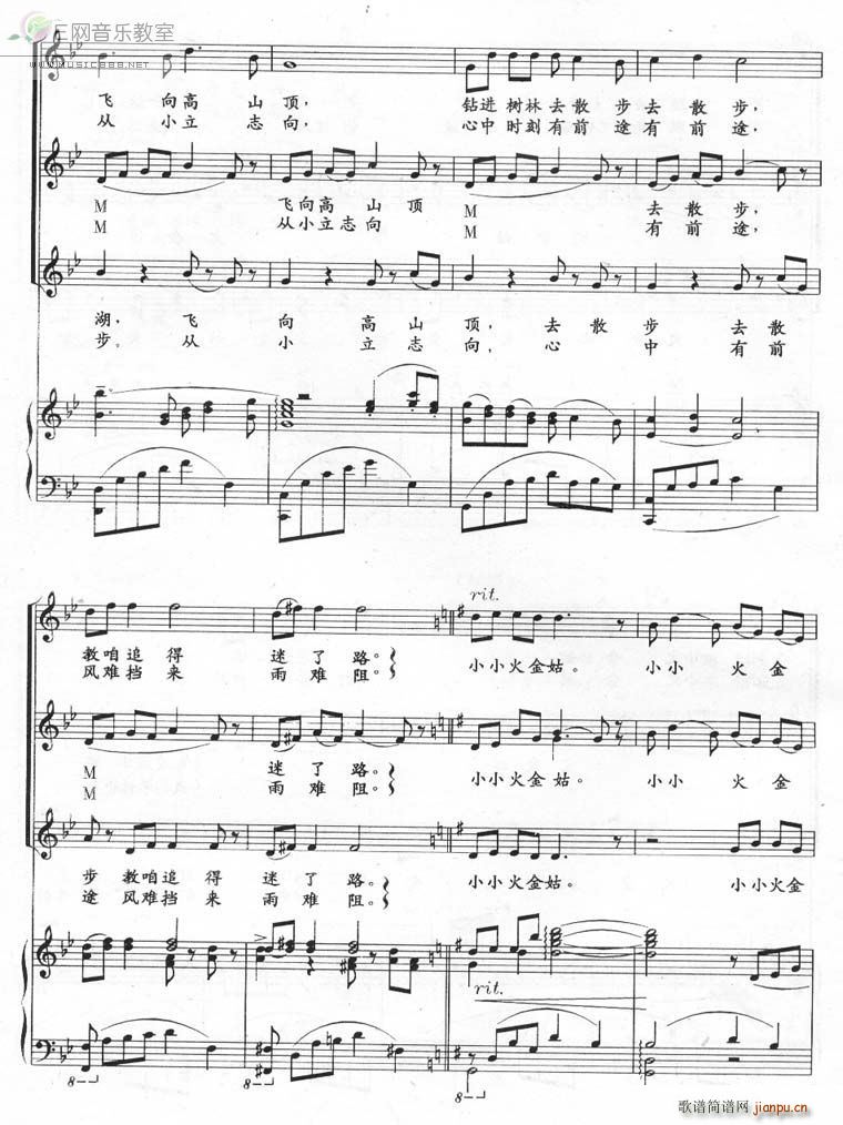 ����(�ϳ��V)5