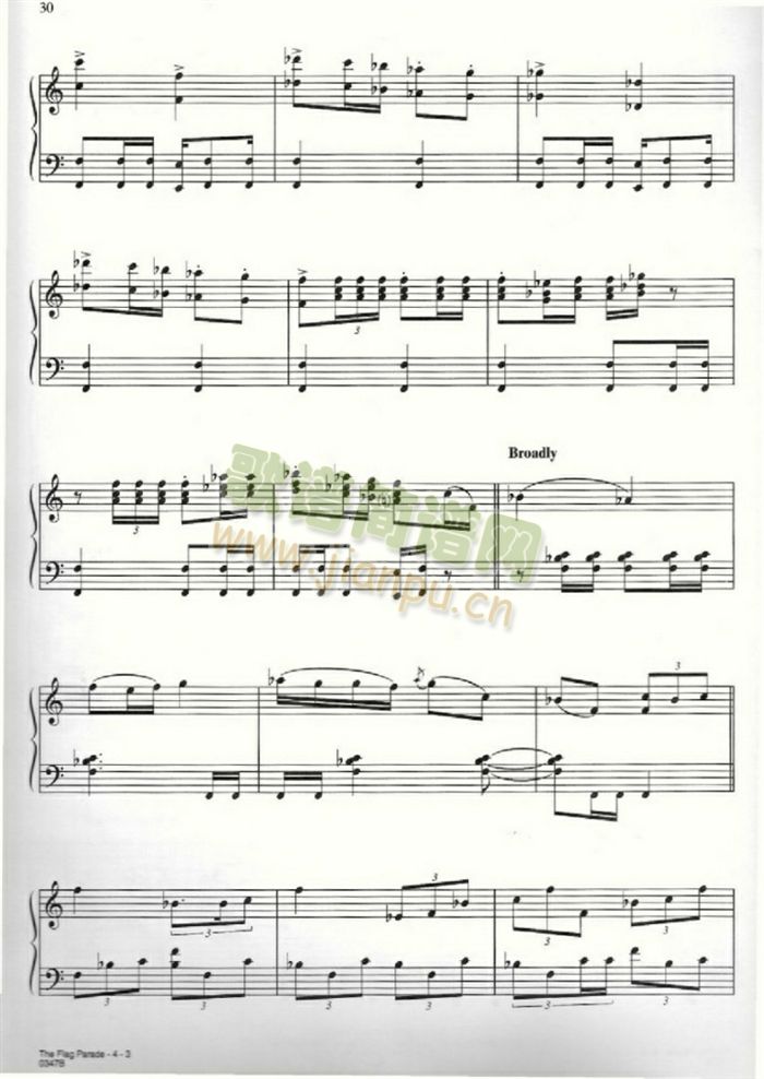 THEFLAGPARADE(�����V)3