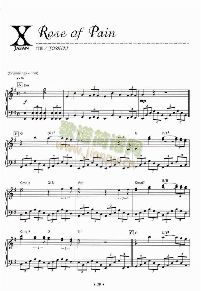 Rose(����V)1