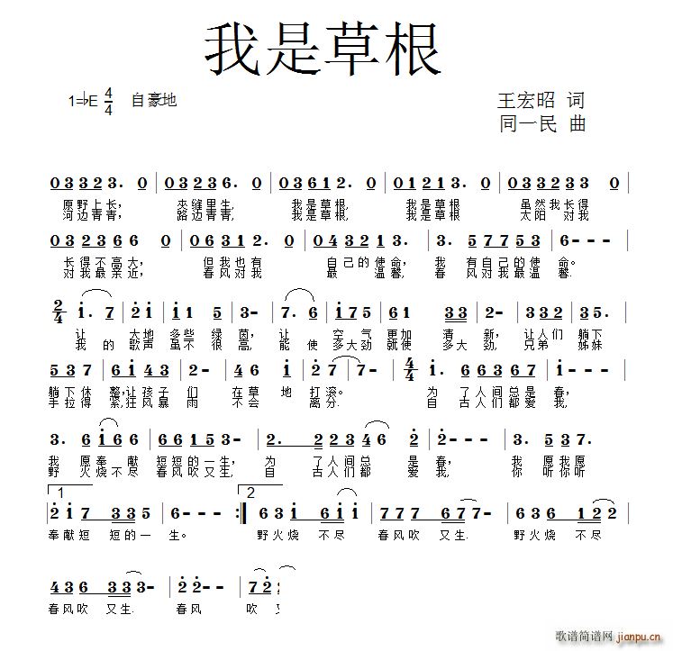 ���ǲݸ�(���ָ��V)1