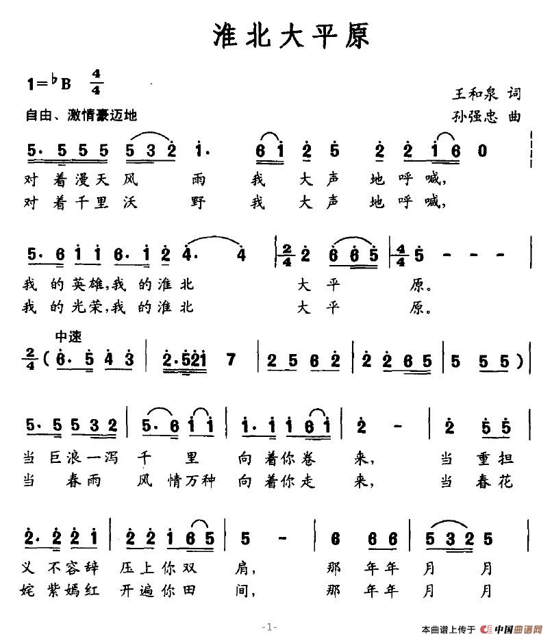 ������ƽԭ(���ָ��V)1