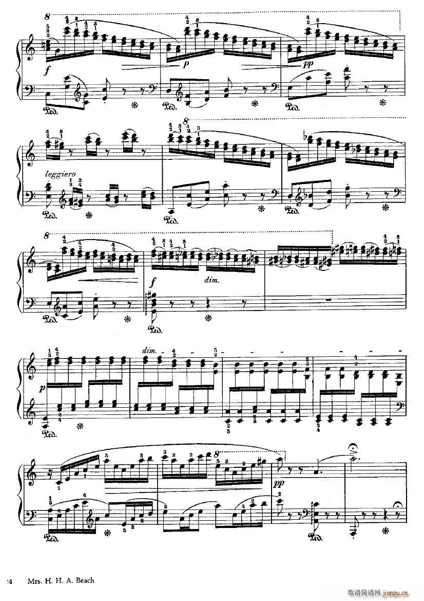 Beach Fire Flies(����V)3