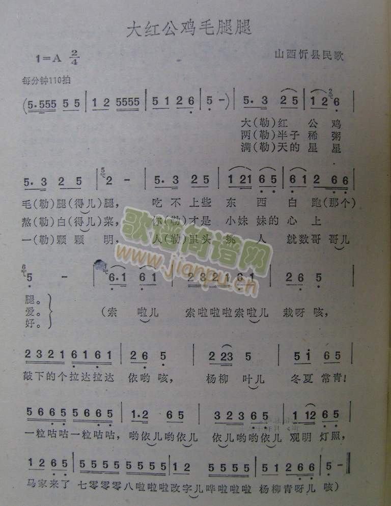 ��t���uë����(���ָ��V)1