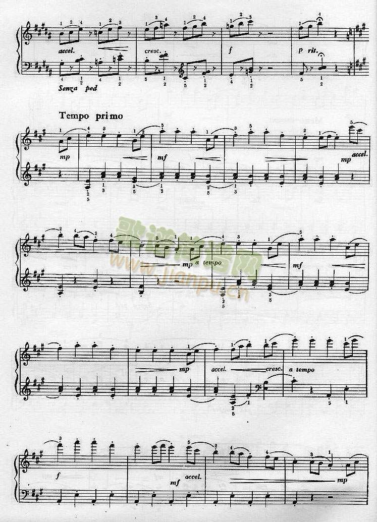 ׽�Բ�(����V)3