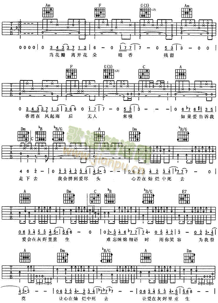 ����(�����V)3