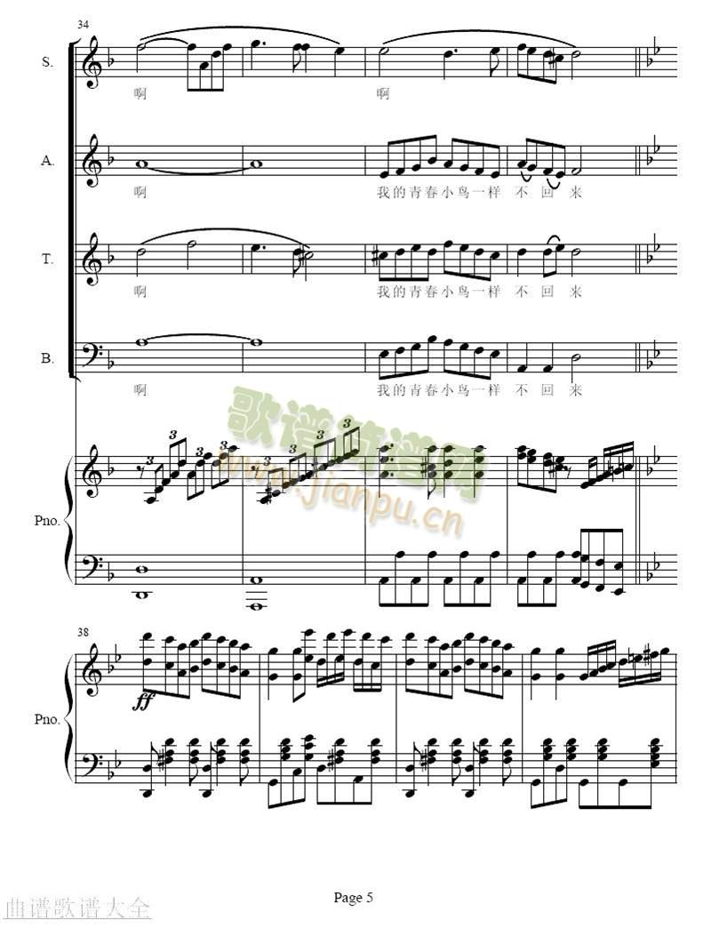 �ഺ����(����)5