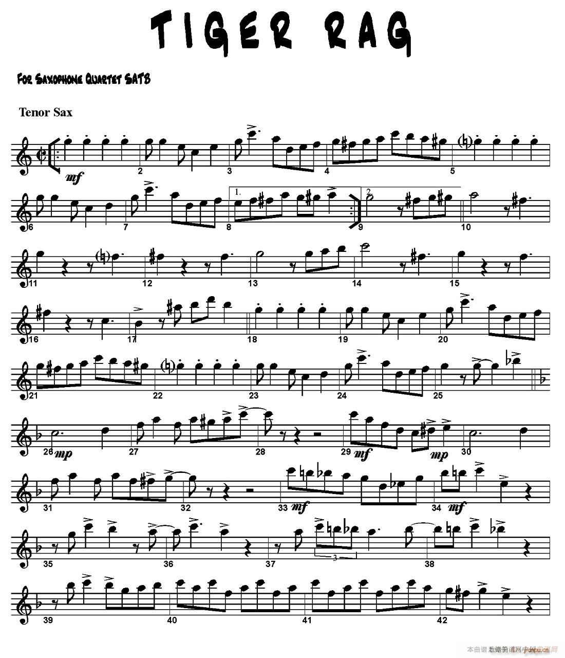 TIGER RAG ������(���V)10